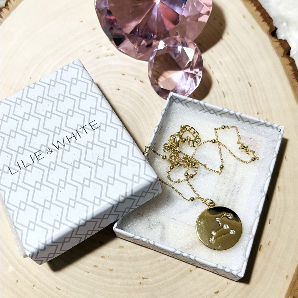 Lilie & White Gold tone Leo Zodiac constellation necklace
